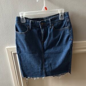 Banana Republic Denim Mini Skirt